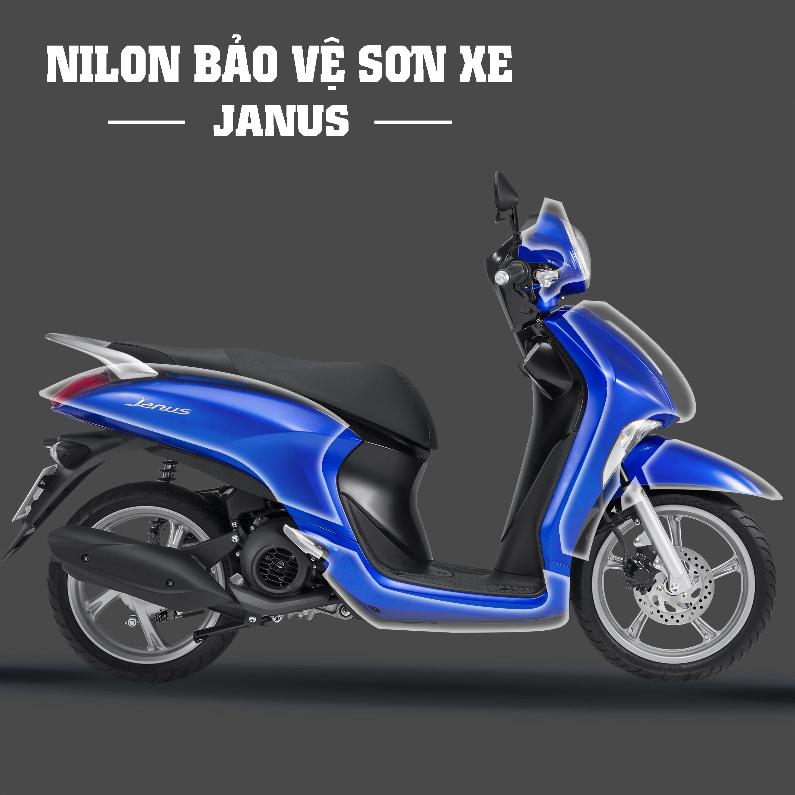 Dán keo xe Janus nilon chống xước